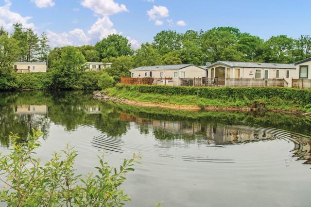 woodland vale holiday park in ludchurch