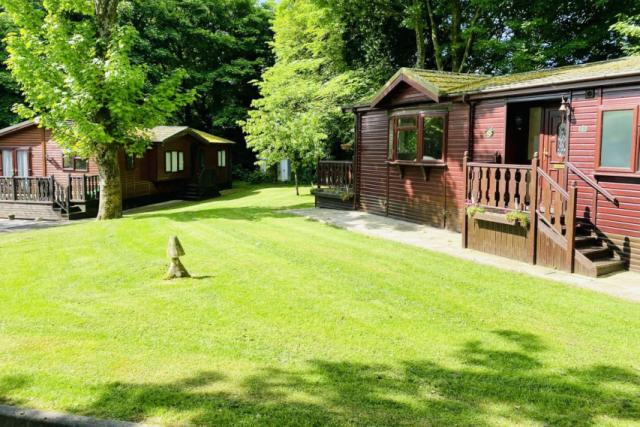 luxury lodges at Rawcliffe Hall Holiday Park