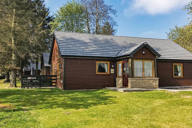 woodedn lodges at st andrews forest lodges in kincaple