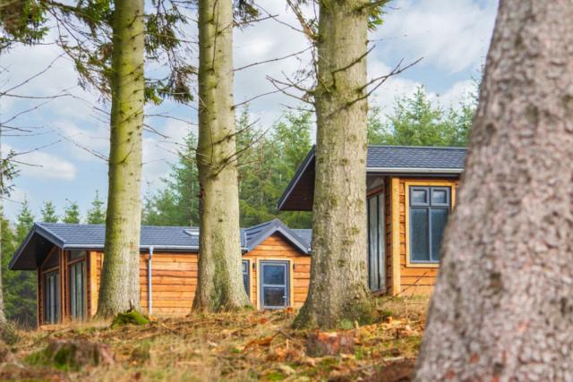 luxury lodge breaks at thirlestane woodland lodges in lauder