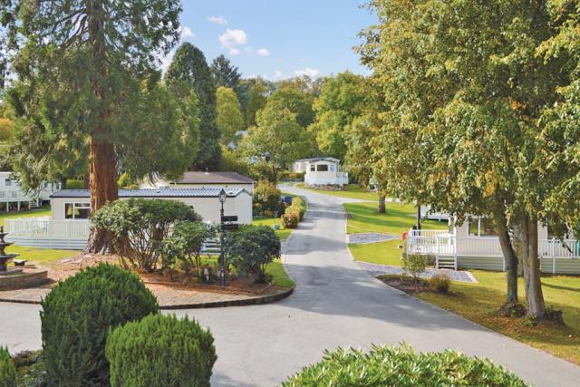 woodlands hall holiday park in denbighshire