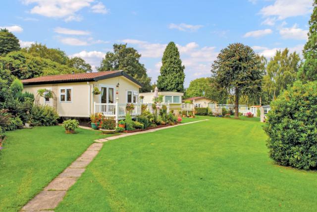 caravan holidays at woodlands hall holiday park near ruthin in denbighshire