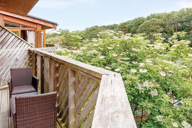 lodge looking out over woodland at Leycroft Valley Holiday Park
