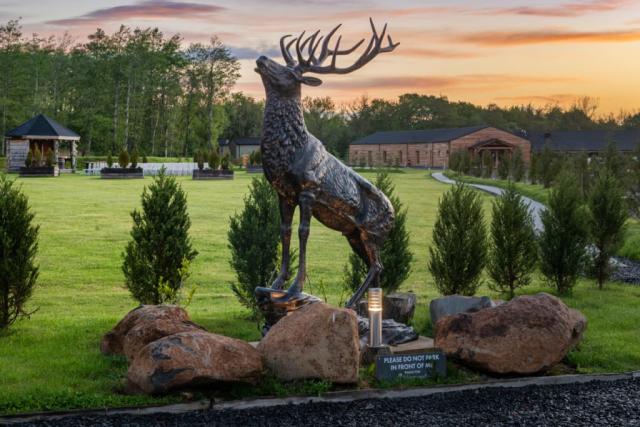 silverwood holiday resort in perthshire