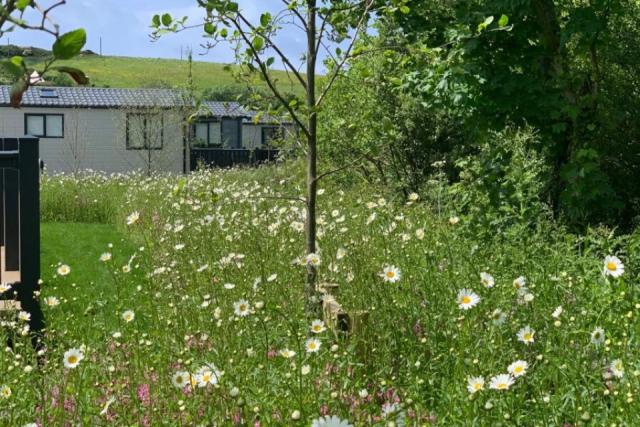 caravan holidays near the beach near Newquay in Cornwall at Sun Haven Holiday Park