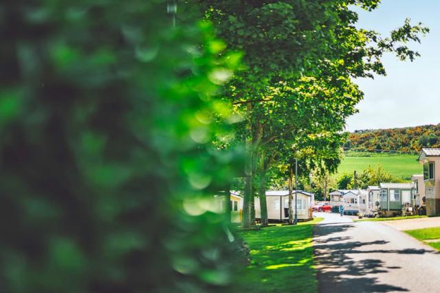 holidays at scoutscroft holiday park in berwickshire