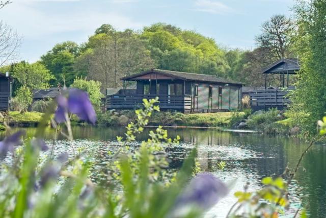 lodge breaks at tralee bay holiday park in argyll & bute