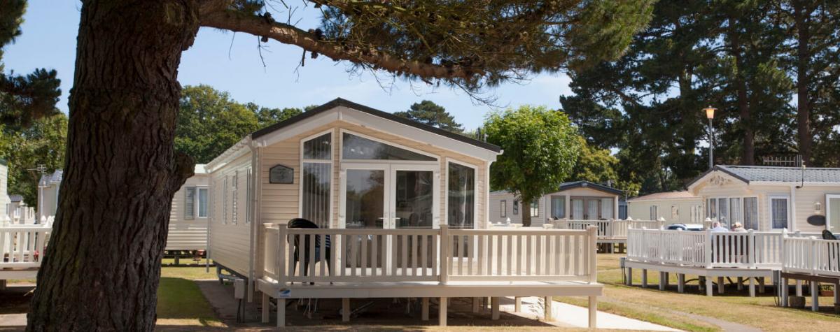 A view of holiday homes on a bright sunny day surrounded by trees A view of holiday homes on a bright sunny day surrounded by trees