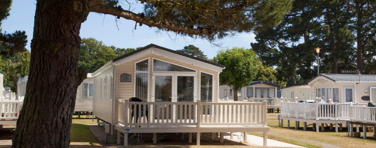 A view of holiday homes on a bright sunny day surrounded by trees