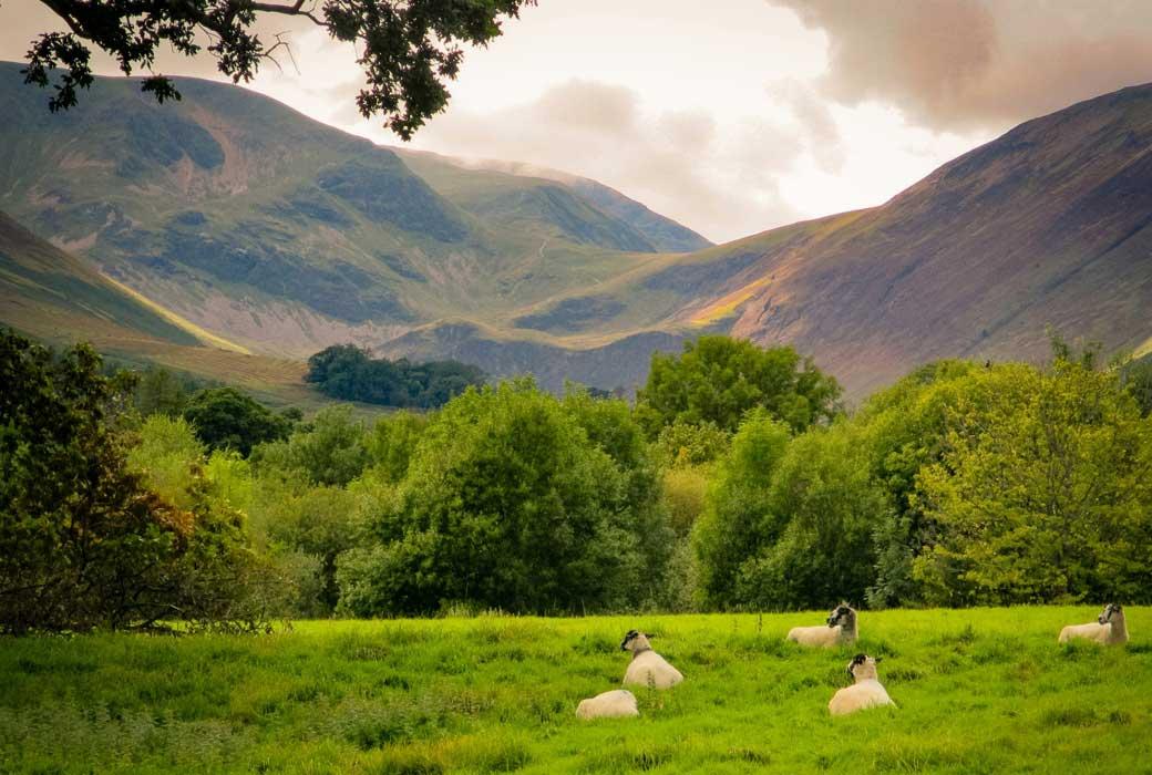 Kendal Holiday Parks have numerous Meadows and Mountains surrounding them