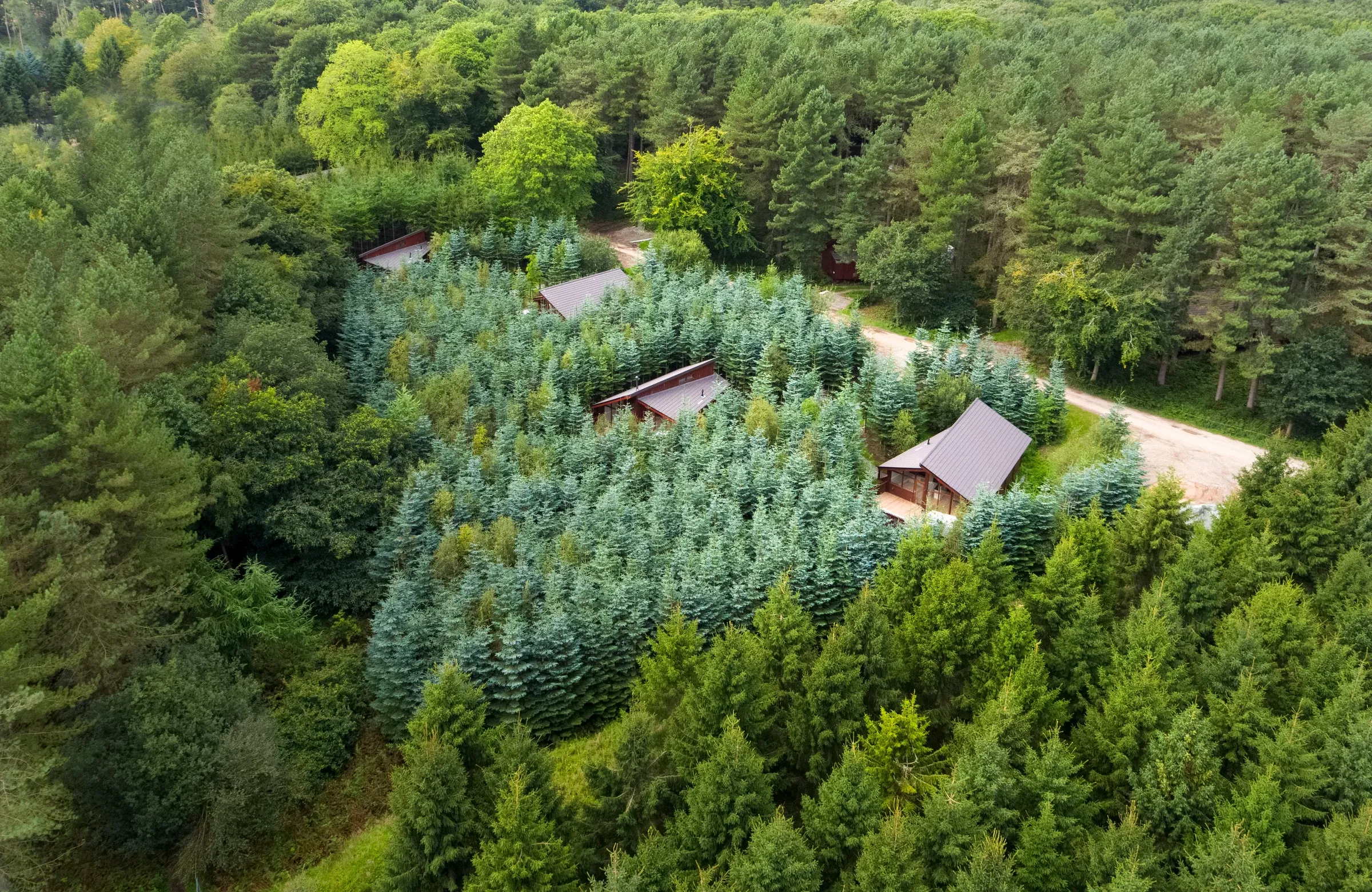 Forest Holidays Holiday Homes in Cheshire Holiday Park