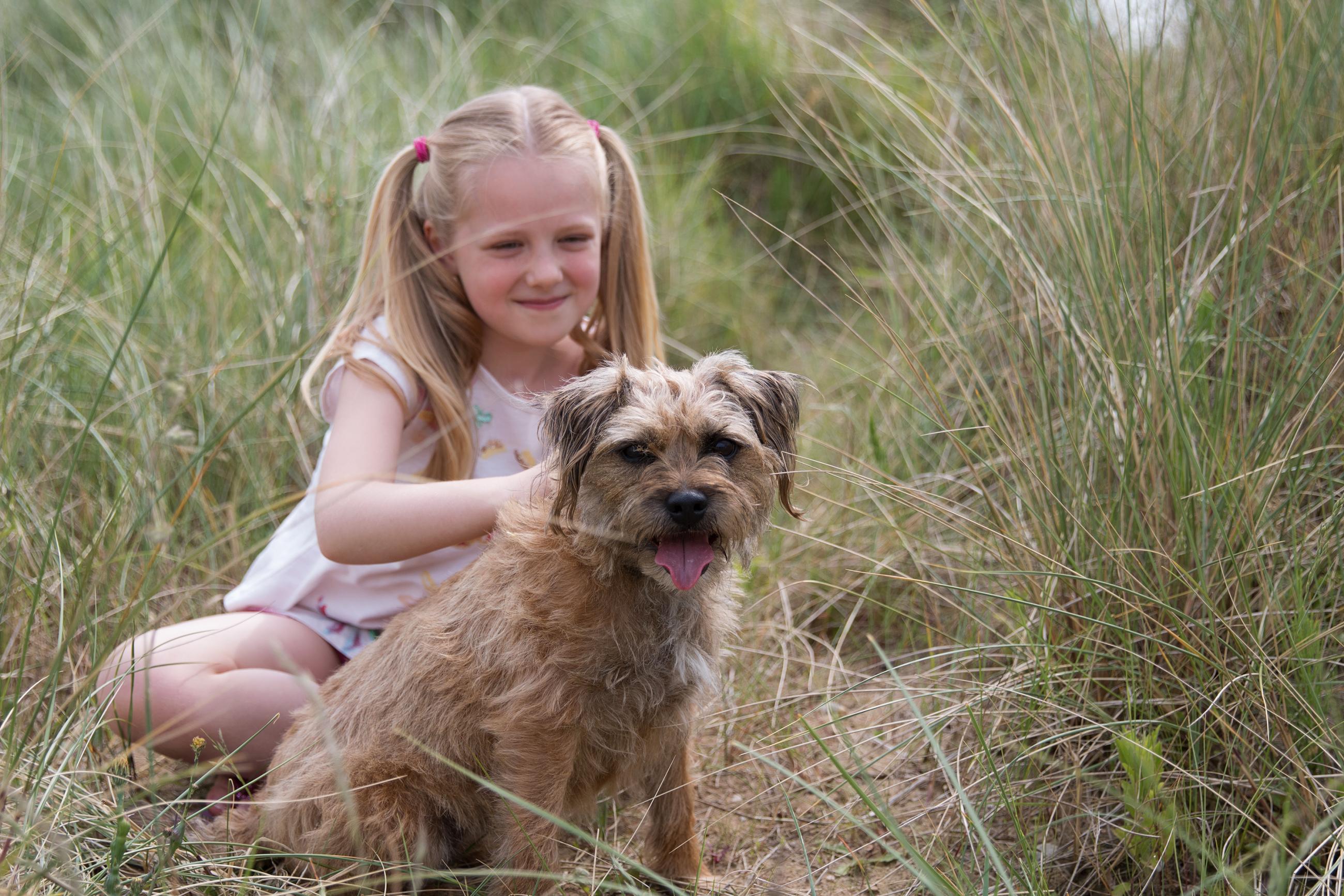 Dogs and owners love to holiday in Essex