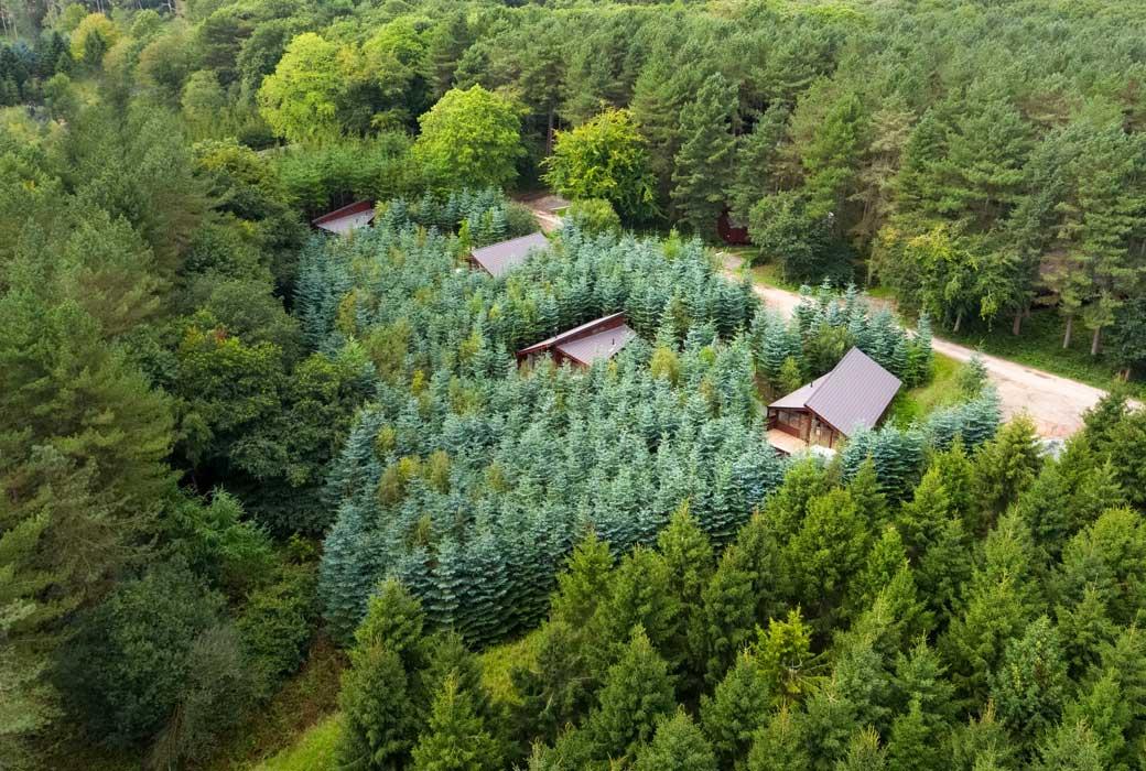 Wooded valley's and holiday homes on a holiday park