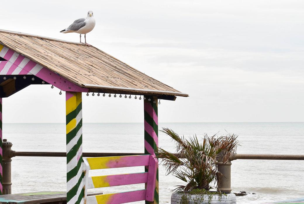Latest Offers on Holiday Parks near beaches in Sussex