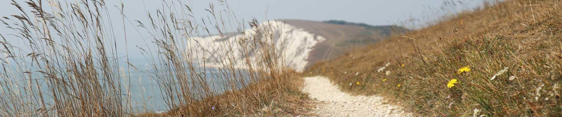 Explore caravan parks in Freshwater & Yarmouth