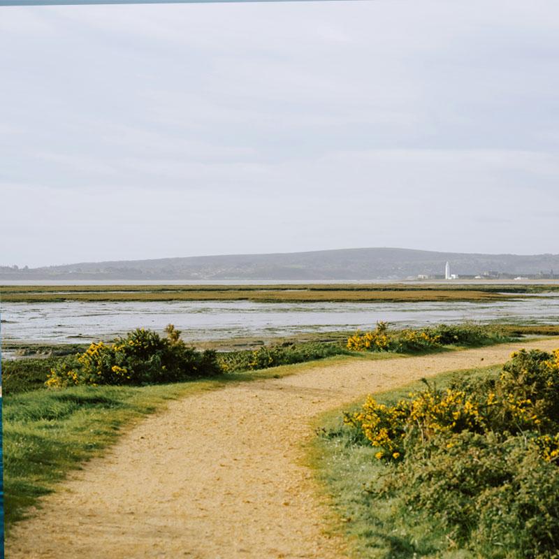 Explore caravan parks in Milford on Sea