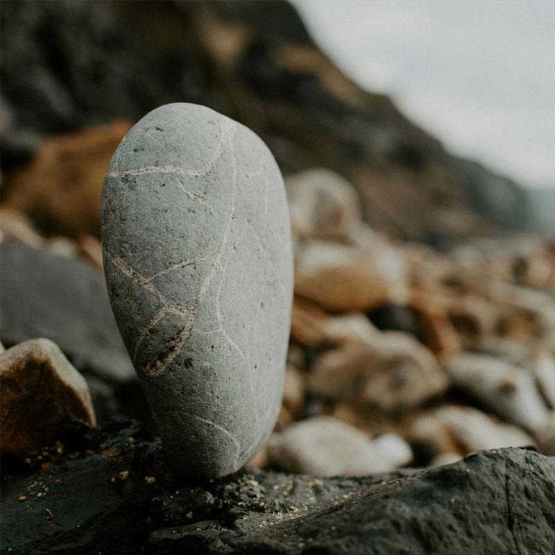 Explore caravan parks near Charmouth