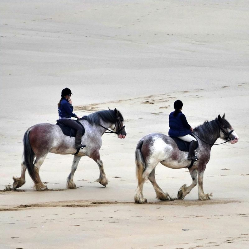 Explore caravan parks near Newbiggin-by-the-Sea