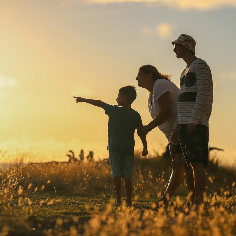 Explore caravan parks near Saxmundham