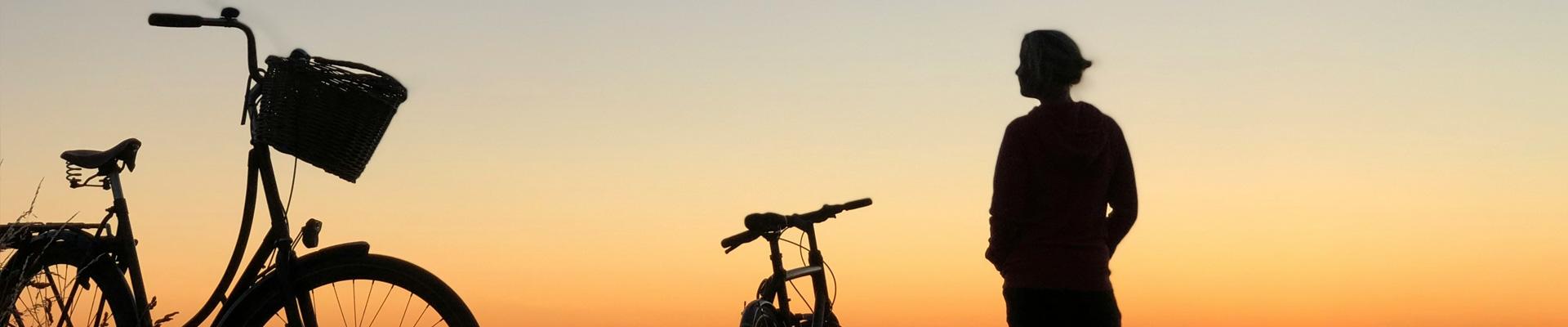Explore caravan parks near Wadebridge