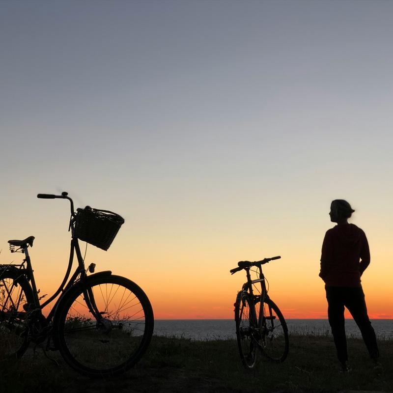 Explore caravan parks near Wadebridge