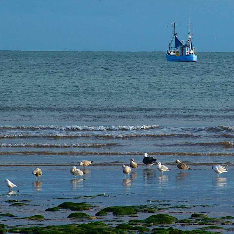 Explore caravan parks near Withernsea