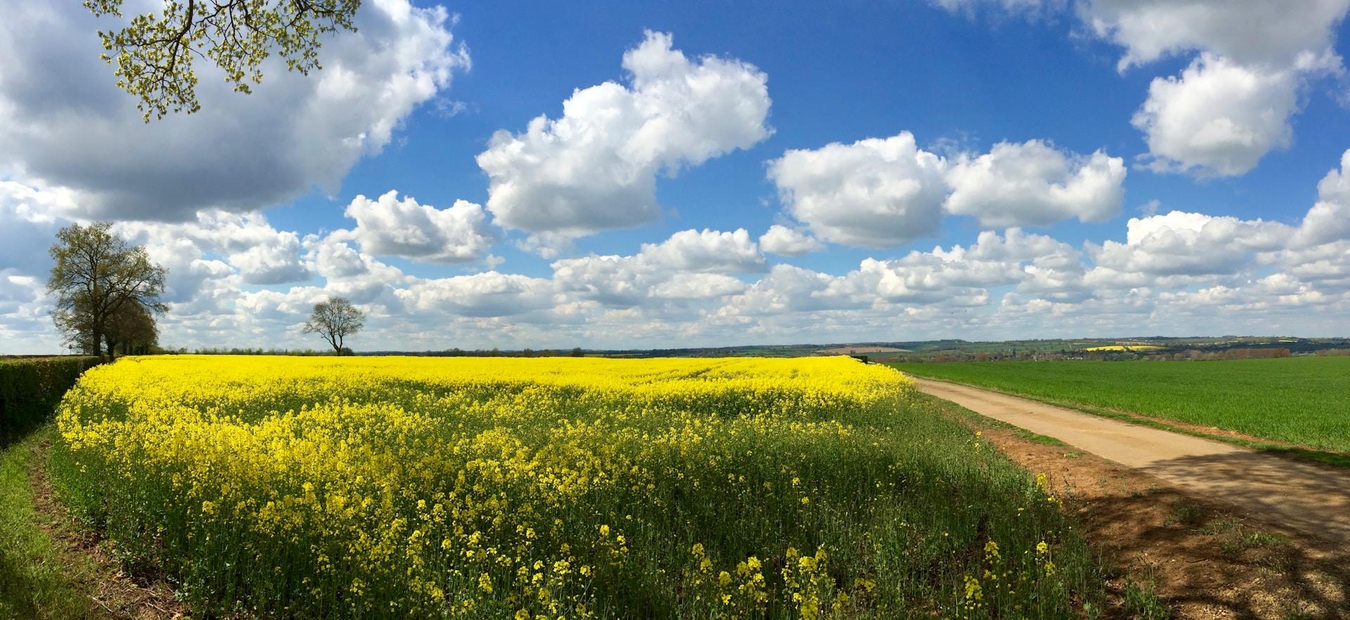 Explore caravan parks in Northamptonshire