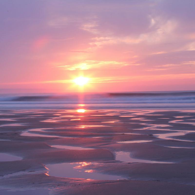 explore caravan parks near Brighton