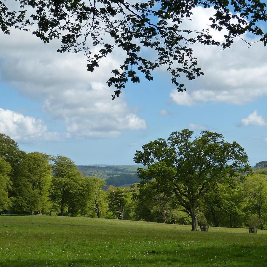  Explore caravan parks in Launceston