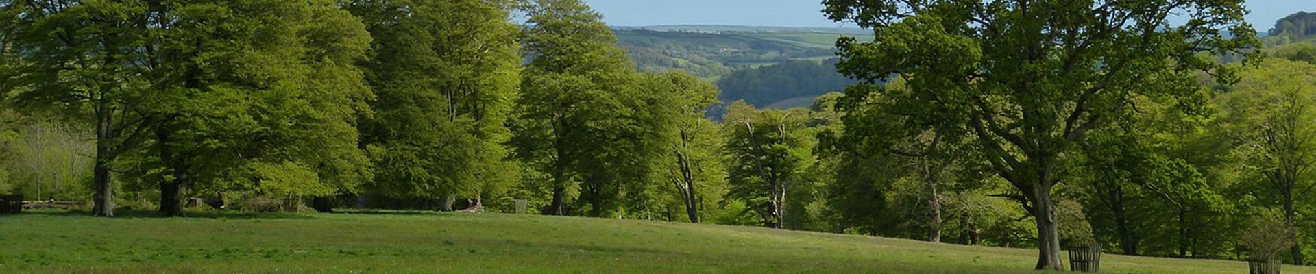  Explore caravan parks in Launceston