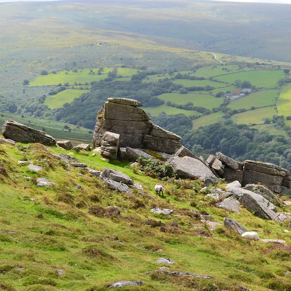 explore caravan parks near Okehampton