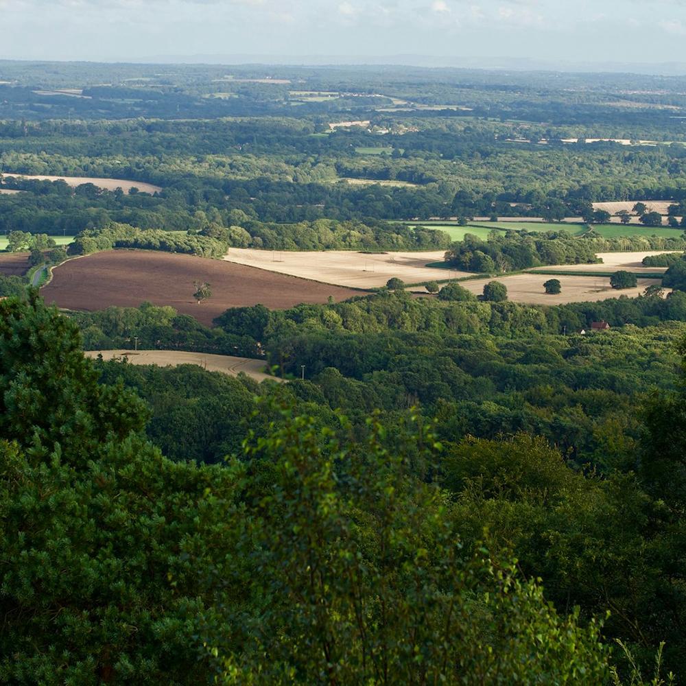 Explore caravan parks in Surrey