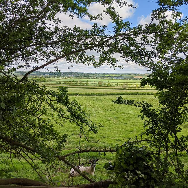 explore Woodhall Spa holiday parks