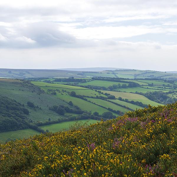 view Chard holiday parks here in Somerset