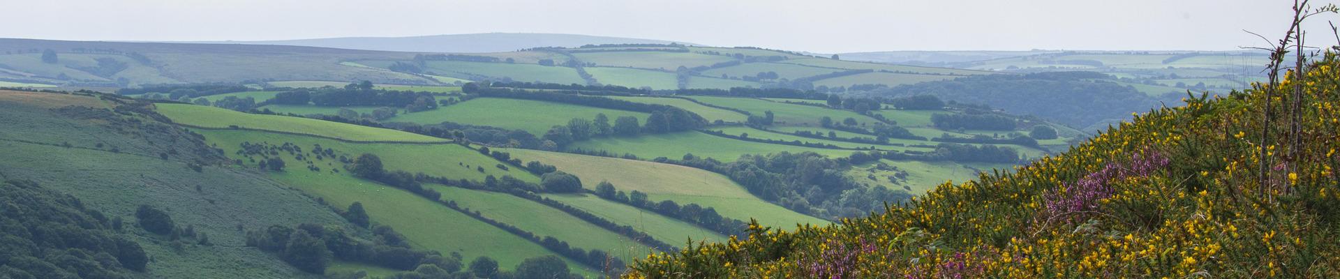 view Chard holiday parks here in Somerset