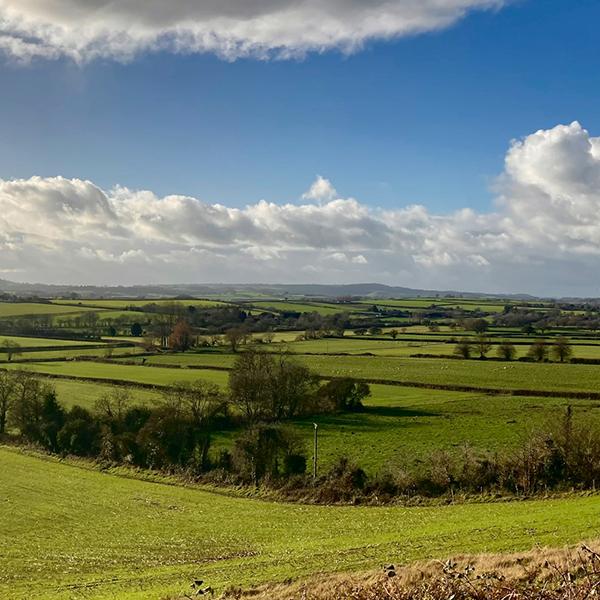 see holiday parks around Crewkerne in Somerset