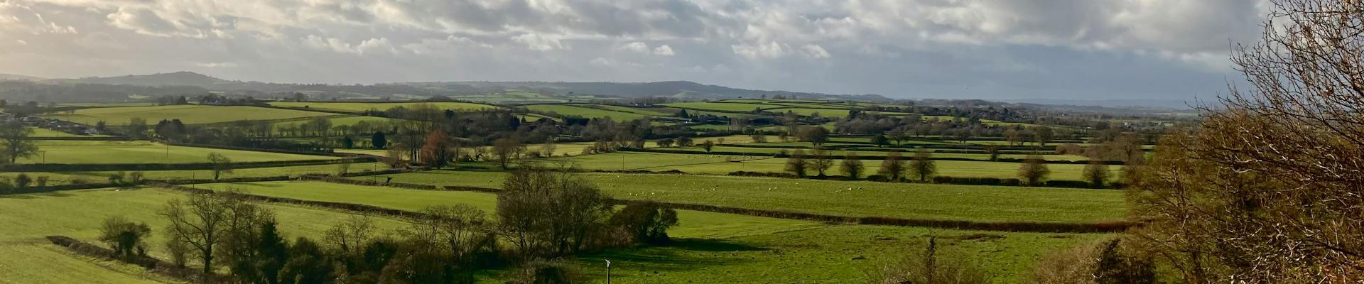 see holiday parks around Crewkerne in Somerset