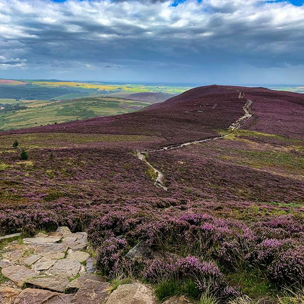 Explore holiday parks near Wooler for caravan and lodge holidays