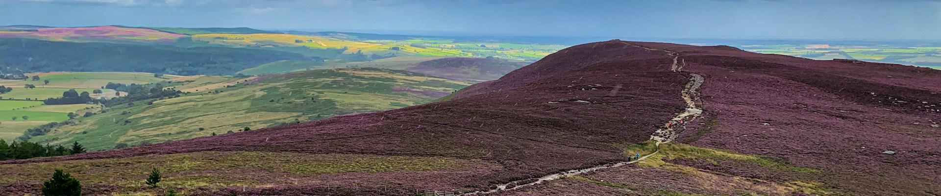 Explore holiday parks near Wooler for caravan and lodge holidays
