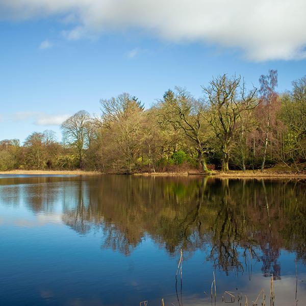 explore holiday parks in Berwickshire for caravan and lodge holidays