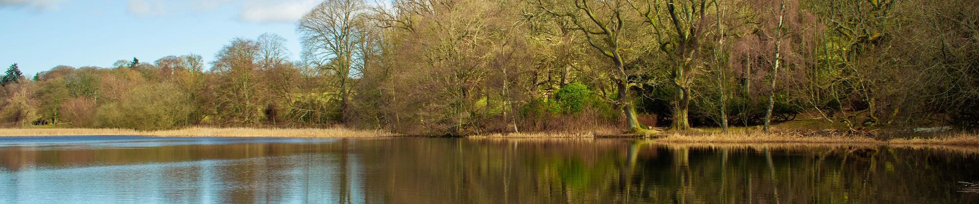 explore holiday parks in Berwickshire for caravan and lodge holidays