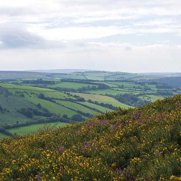 explore parks for caravan and lodge holidays in south molton on Exmoor