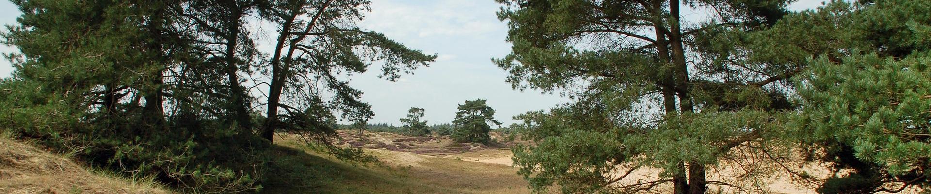 Holiday Parks Near Louth for caravan and lodge holidays