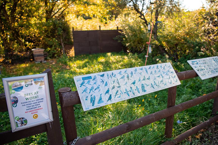 woodland trails at Ashbourne Heights Holiday Park