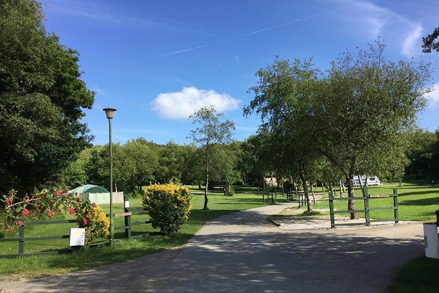 camping and touring caravan area at Hedley Wood Holiday Park in Devon