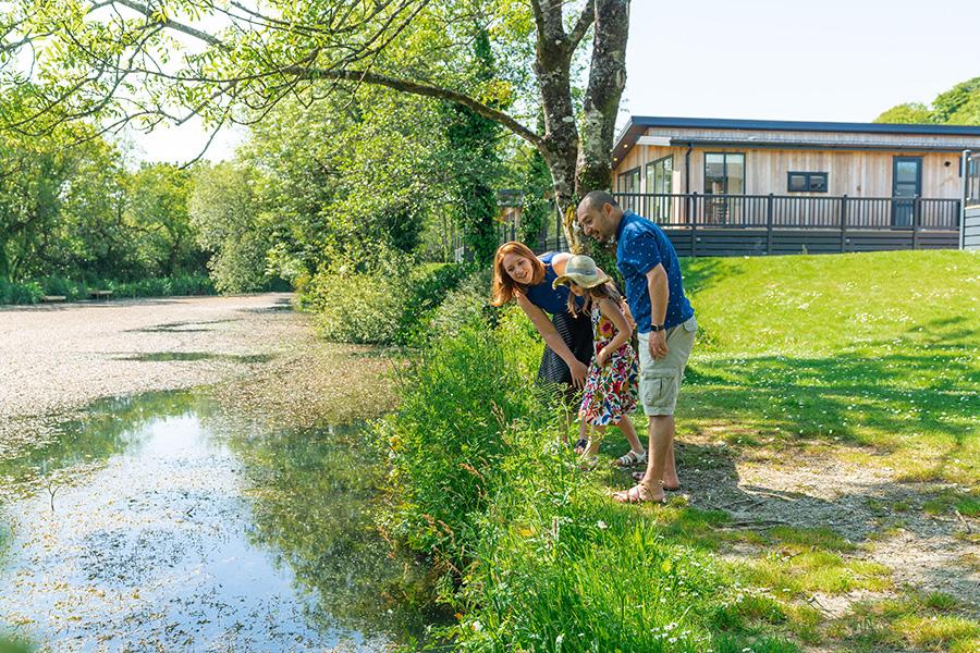 fishing lakes from the lodges at Hengar Manor Holiday Park