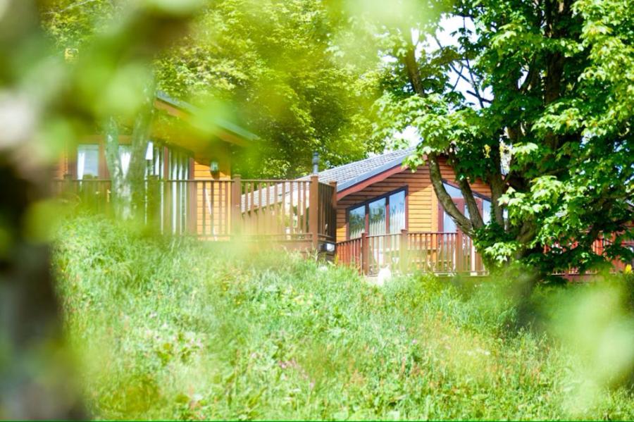 holiday lodges in the woods