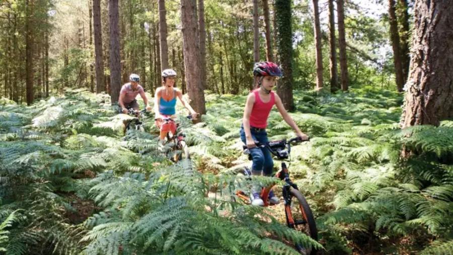 woodland bike rides at Oakdene Forest Park