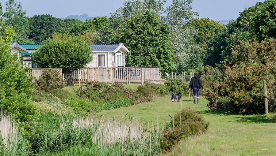 lodges in a rural cornwall holiday park
