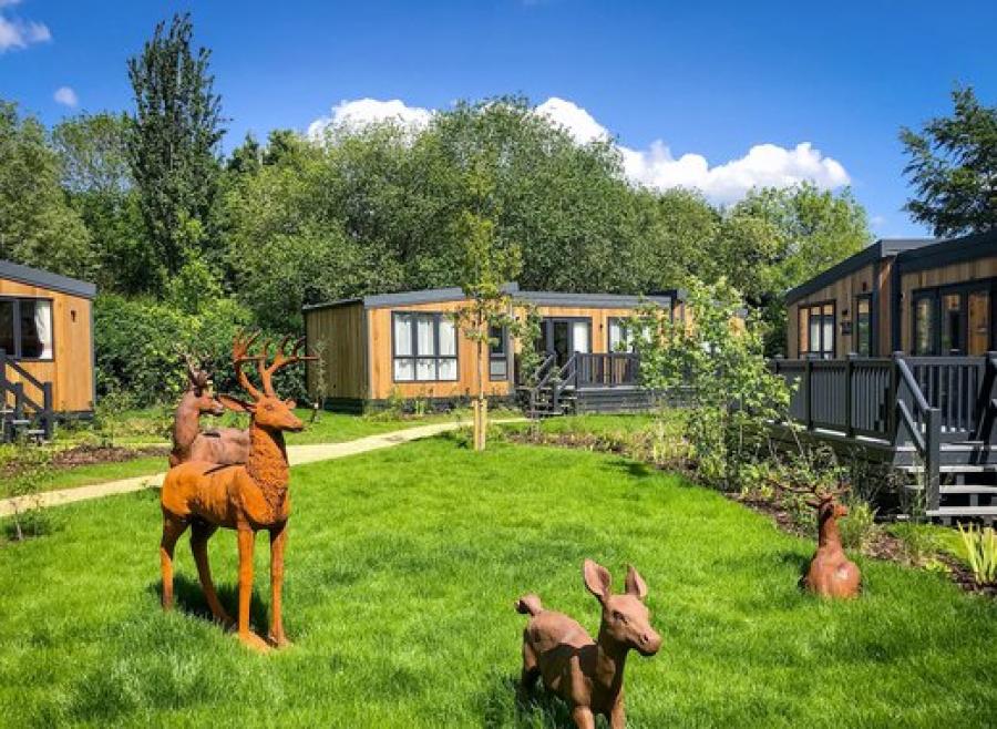 lodges in Ringwood at Sandy Balls Holiday Village